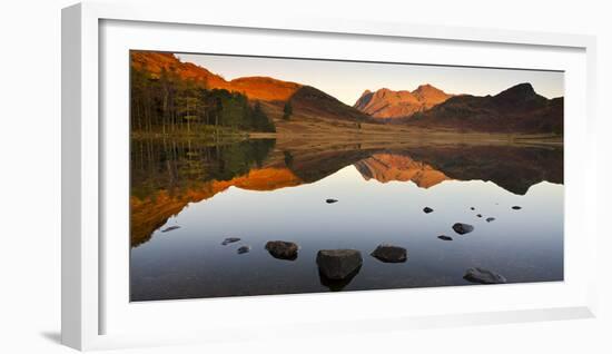 The Langdale Pikes reflected in a mirrorlike Blea Tarn at sunrise, Lake District National Park, Cum-Adam Burton-Framed Photographic Print