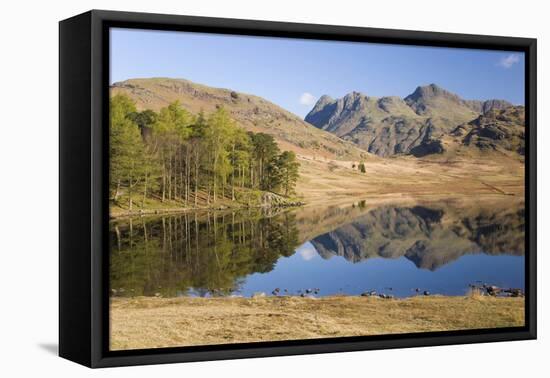 The Langdale Pikes Reflected in Blea Tarn, Above Little Langdale, Lake District National Park-Ruth Tomlinson-Framed Premier Image Canvas