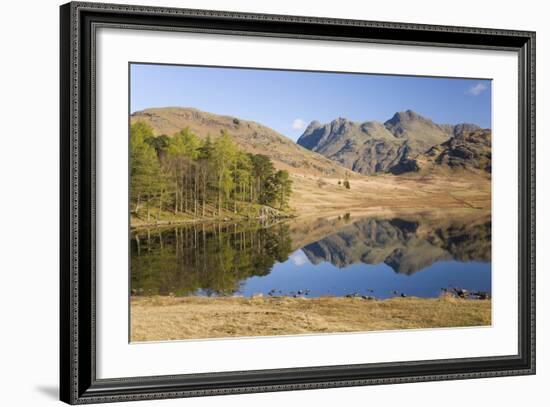 The Langdale Pikes Reflected in Blea Tarn, Above Little Langdale, Lake District National Park-Ruth Tomlinson-Framed Photographic Print