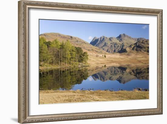 The Langdale Pikes Reflected in Blea Tarn, Above Little Langdale, Lake District National Park-Ruth Tomlinson-Framed Photographic Print