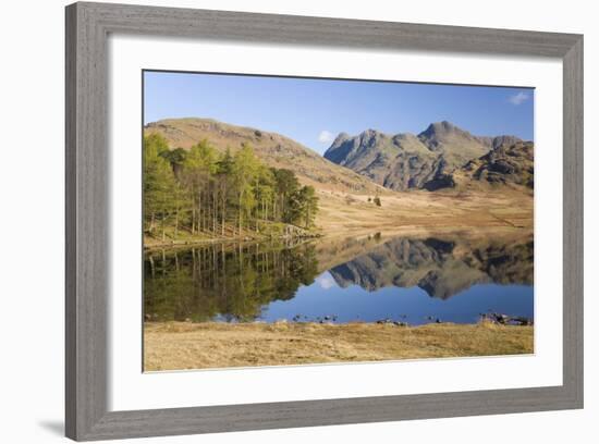 The Langdale Pikes Reflected in Blea Tarn, Above Little Langdale, Lake District National Park-Ruth Tomlinson-Framed Photographic Print