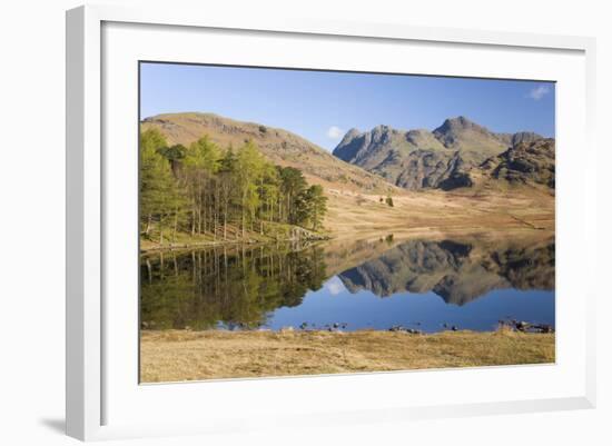 The Langdale Pikes Reflected in Blea Tarn, Above Little Langdale, Lake District National Park-Ruth Tomlinson-Framed Photographic Print