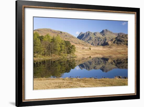 The Langdale Pikes Reflected in Blea Tarn, Above Little Langdale, Lake District National Park-Ruth Tomlinson-Framed Photographic Print