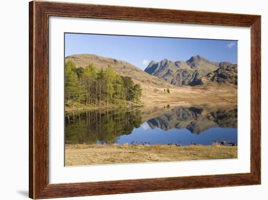 The Langdale Pikes Reflected in Blea Tarn, Above Little Langdale, Lake District National Park-Ruth Tomlinson-Framed Photographic Print