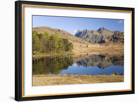 The Langdale Pikes Reflected in Blea Tarn, Above Little Langdale, Lake District National Park-Ruth Tomlinson-Framed Photographic Print