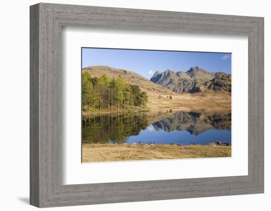 The Langdale Pikes Reflected in Blea Tarn, Above Little Langdale, Lake District National Park-Ruth Tomlinson-Framed Photographic Print