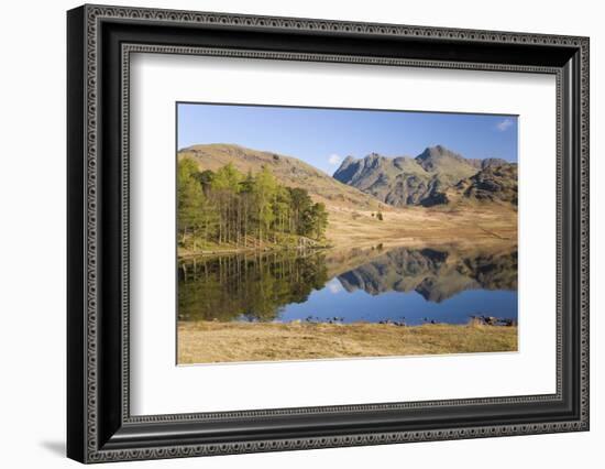 The Langdale Pikes Reflected in Blea Tarn, Above Little Langdale, Lake District National Park-Ruth Tomlinson-Framed Photographic Print