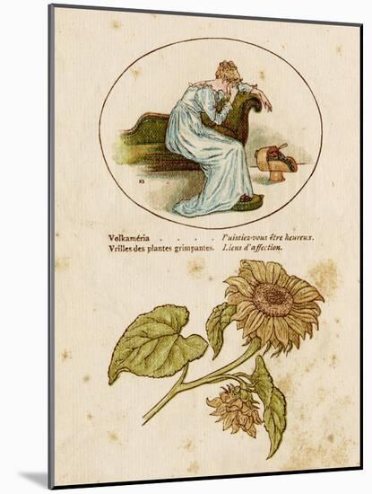 The Language and Meaning of Flowers Poster-Kate Greenaway-Mounted Art Print