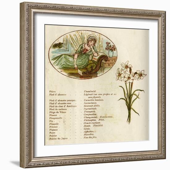 The Language and Meaning of Flowers-Kate Greenaway-Framed Art Print