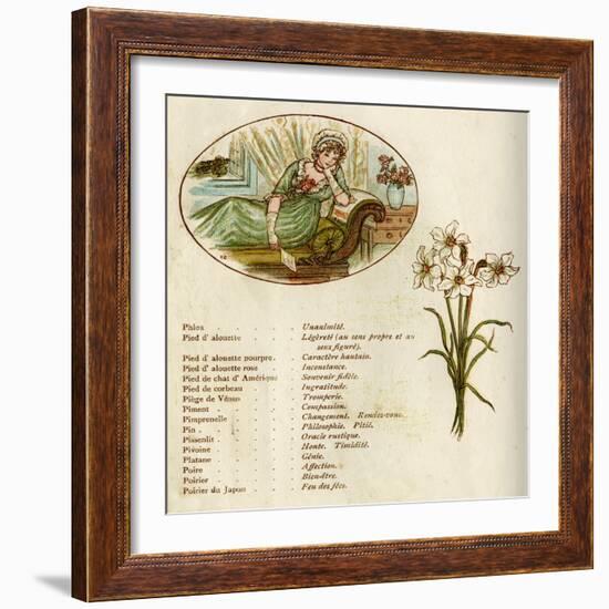 The Language and Meaning of Flowers-Kate Greenaway-Framed Art Print