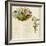 The Language and Meaning of Flowers-Kate Greenaway-Framed Art Print