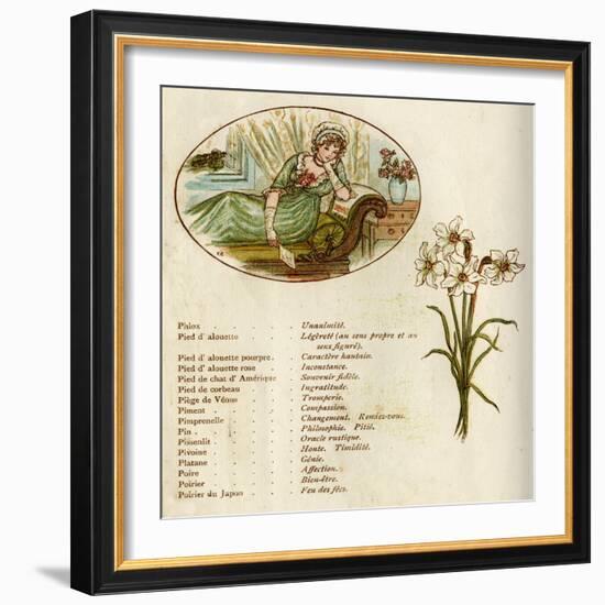 The Language and Meaning of Flowers-Kate Greenaway-Framed Art Print
