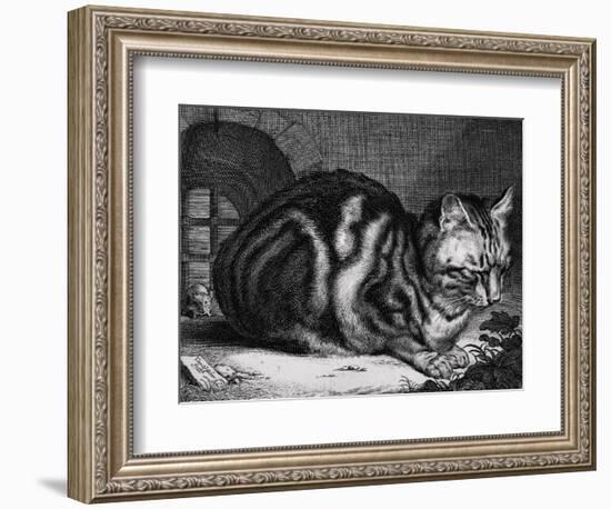 The Large Cat-Cornelis Visscher-Framed Art Print