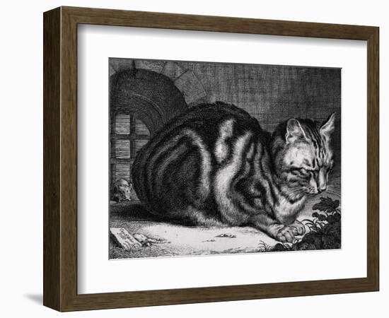 The Large Cat-Cornelis Visscher-Framed Art Print