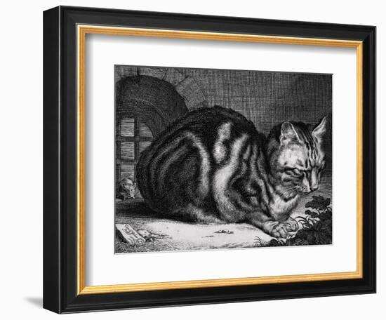 The Large Cat-Cornelis Visscher-Framed Art Print