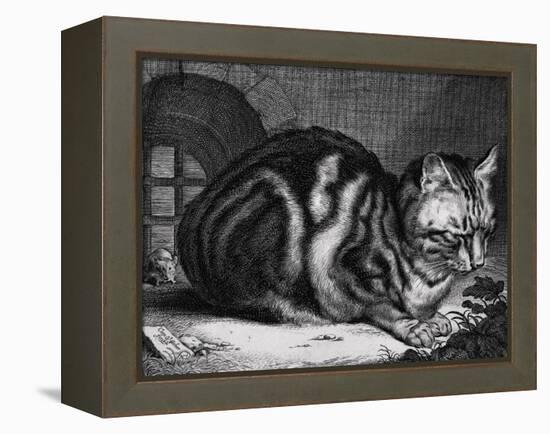 The Large Cat-Cornelis Visscher-Framed Stretched Canvas