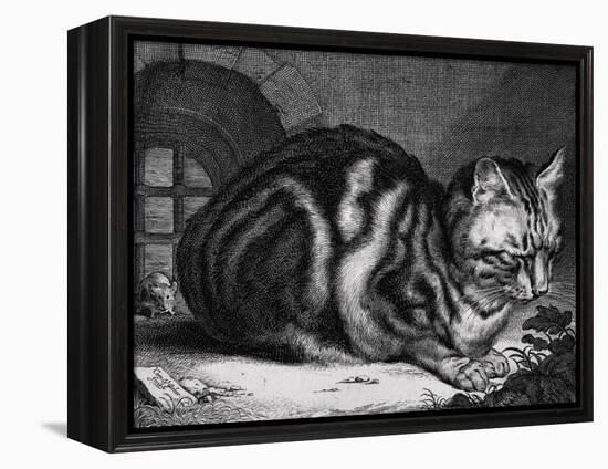 The Large Cat-Cornelis Visscher-Framed Stretched Canvas