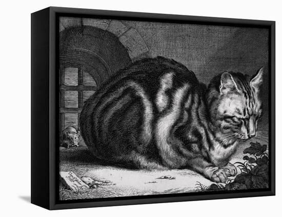 The Large Cat-Cornelis Visscher-Framed Stretched Canvas