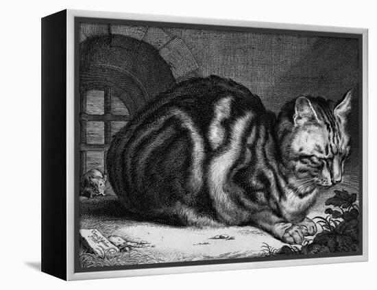 The Large Cat-Cornelis Visscher-Framed Stretched Canvas