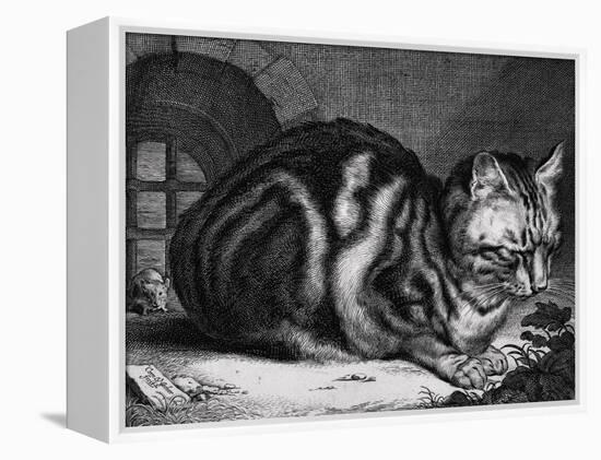 The Large Cat-Cornelis Visscher-Framed Stretched Canvas