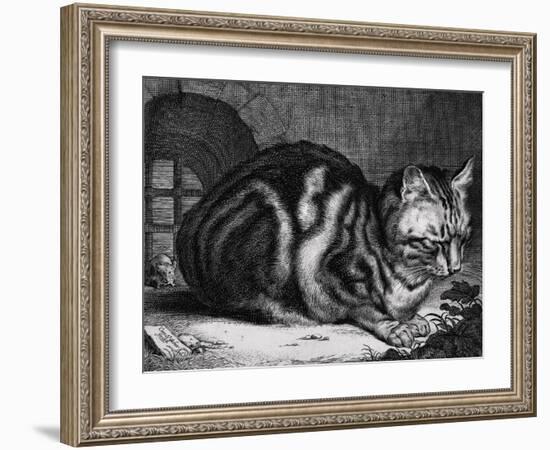 The Large Cat-Cornelis Visscher-Framed Art Print