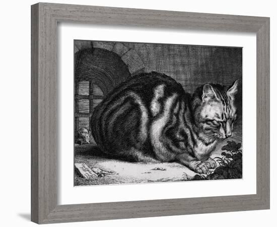 The Large Cat-Cornelis Visscher-Framed Art Print