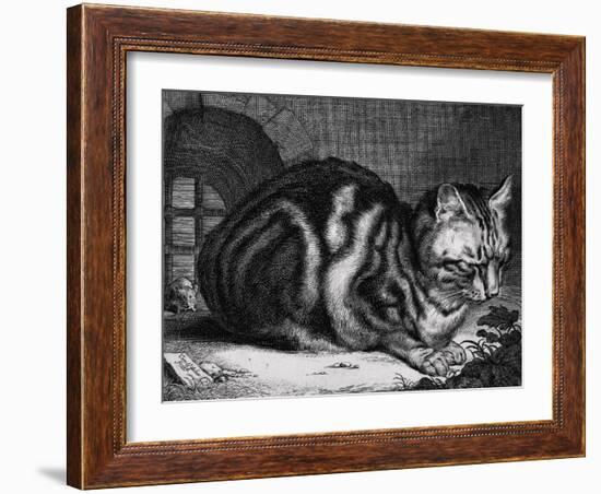 The Large Cat-Cornelis Visscher-Framed Art Print