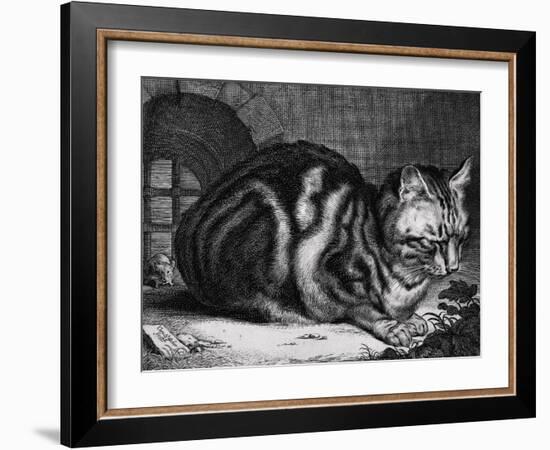 The Large Cat-Cornelis Visscher-Framed Art Print