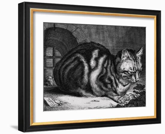 The Large Cat-Cornelis Visscher-Framed Art Print