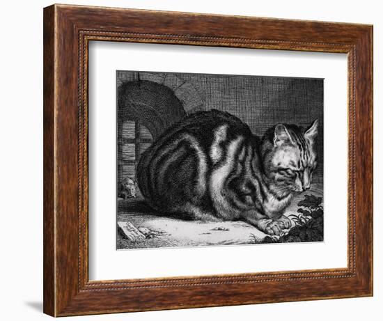 The Large Cat-Cornelis Visscher-Framed Premium Giclee Print