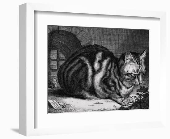 The Large Cat-Cornelis Visscher-Framed Premium Giclee Print