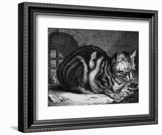 The Large Cat-Cornelis Visscher-Framed Premium Giclee Print