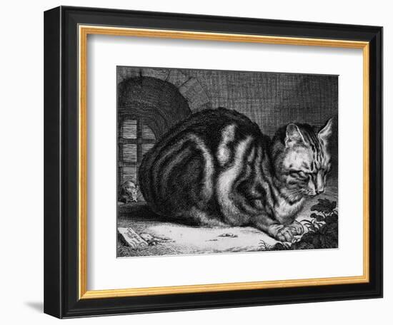 The Large Cat-Cornelis Visscher-Framed Premium Giclee Print