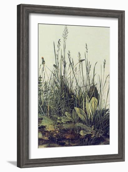 The Large Piece of Grass-Albrecht Drer-Framed Art Print