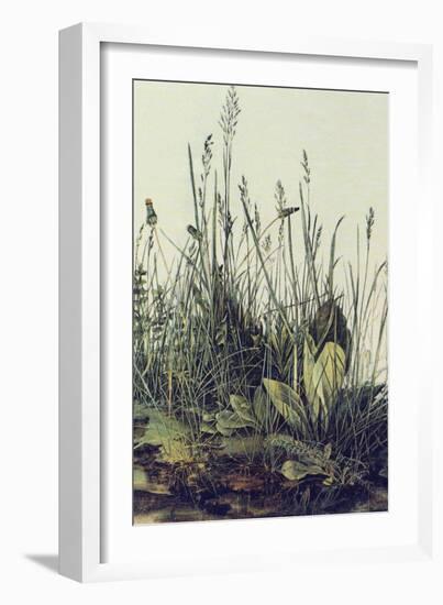 The Large Piece of Grass-Albrecht Drer-Framed Art Print