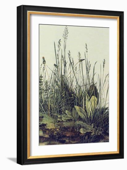 The Large Piece of Grass-Albrecht Drer-Framed Art Print