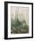 The Large Piece of Turf, 1503-Albrecht Durer-Framed Premium Giclee Print