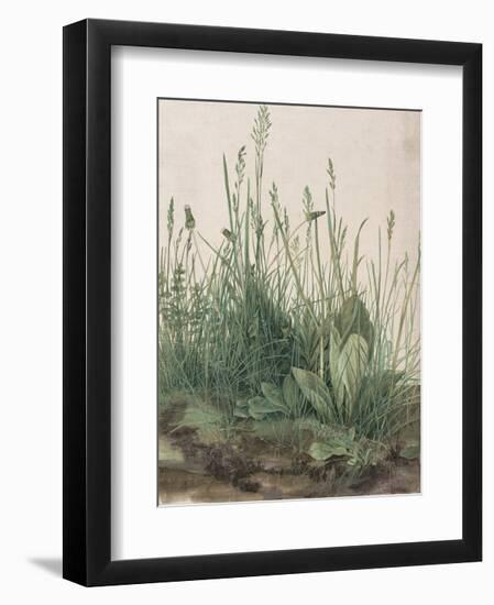 The Large Piece of Turf, 1503-Albrecht Durer-Framed Premium Giclee Print