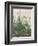 The Large Piece of Turf, 1503-Albrecht Durer-Framed Premium Giclee Print