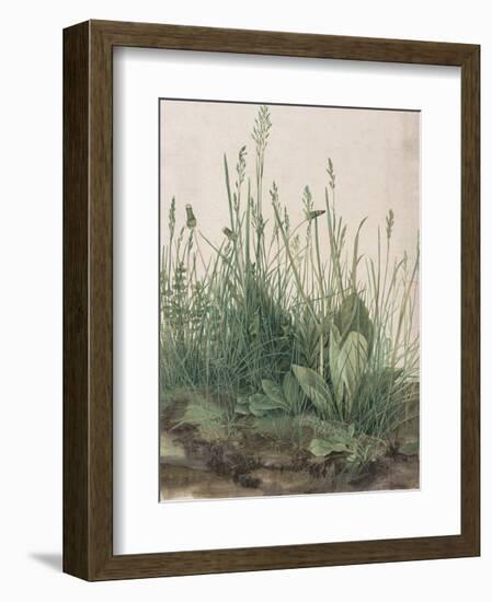 The Large Piece of Turf, 1503-Albrecht Durer-Framed Premium Giclee Print