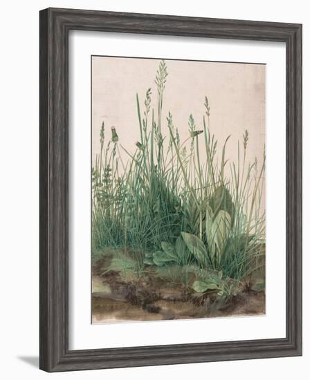 The Large Piece of Turf, 1503-Albrecht Dürer-Framed Giclee Print