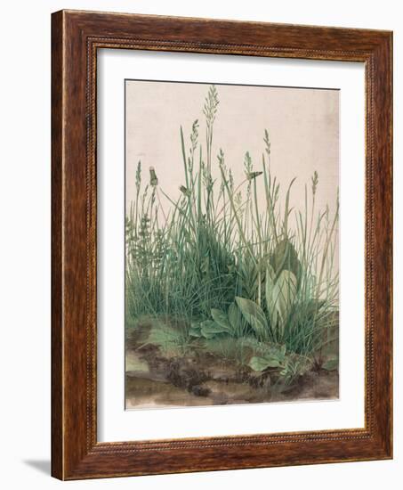 The Large Piece of Turf, 1503-Albrecht Dürer-Framed Giclee Print