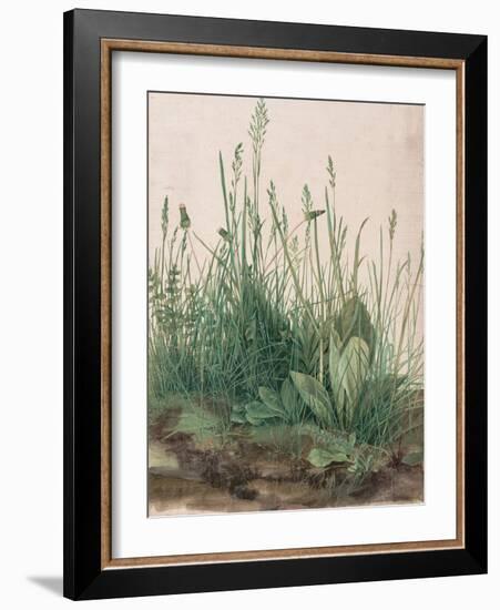 The Large Piece of Turf, 1503-Albrecht Dürer-Framed Giclee Print