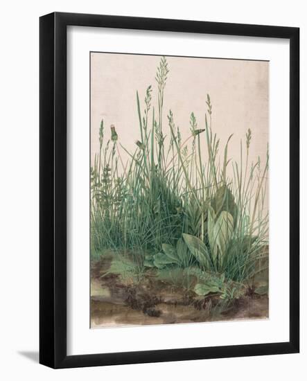 The Large Piece of Turf, 1503-Albrecht Dürer-Framed Giclee Print