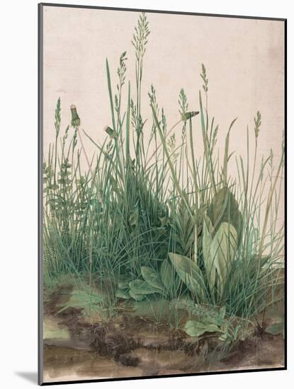 The Large Piece of Turf, 1503-Albrecht Dürer-Mounted Giclee Print