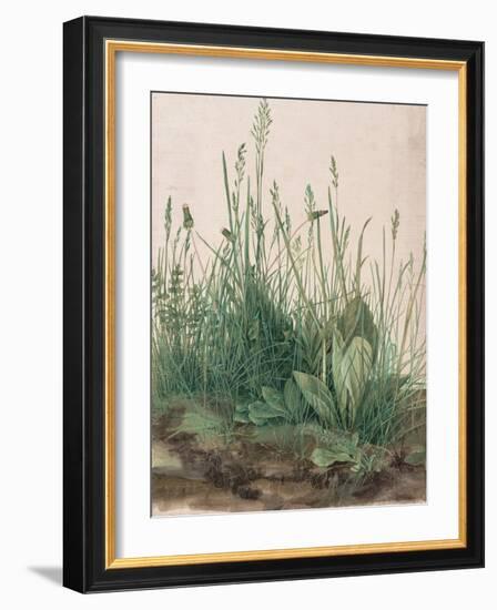 The Large Piece of Turf, 1503-Albrecht Dürer-Framed Giclee Print