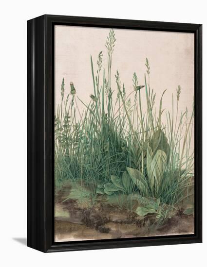 The Large Piece of Turf, 1503-Albrecht Dürer-Framed Premier Image Canvas