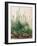 The Large Piece of Turf by Albrecht D¼rer-Albrecht Dürer-Framed Giclee Print