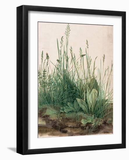 The Large Piece of Turf by Albrecht D¼rer-Albrecht Dürer-Framed Giclee Print