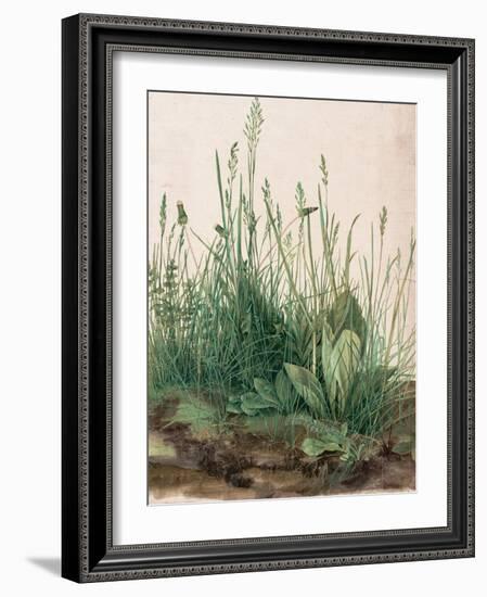 The Large Piece of Turf by Albrecht D¼rer-Albrecht Dürer-Framed Giclee Print